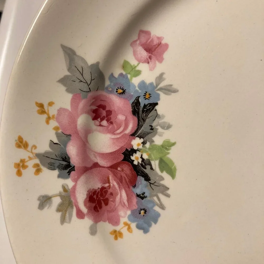 Vintage Dinner Plates (2) 9 Inches with Pink & Blue Flowers / Roses